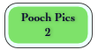 Pooch Pics 
2